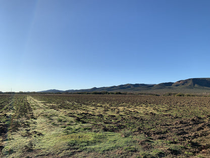 Waterkloof Guest Farm De Rust Western Cape South Africa Desert, Nature, Sand, Lowland