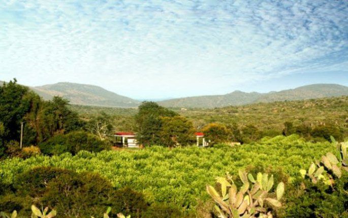 Waterkloof Guest Farm Riebeek East Eastern Cape South Africa Complementary Colors, Nature