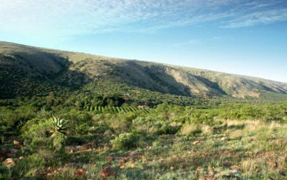 Waterkloof Guest Farm Riebeek East Eastern Cape South Africa Complementary Colors, Nature