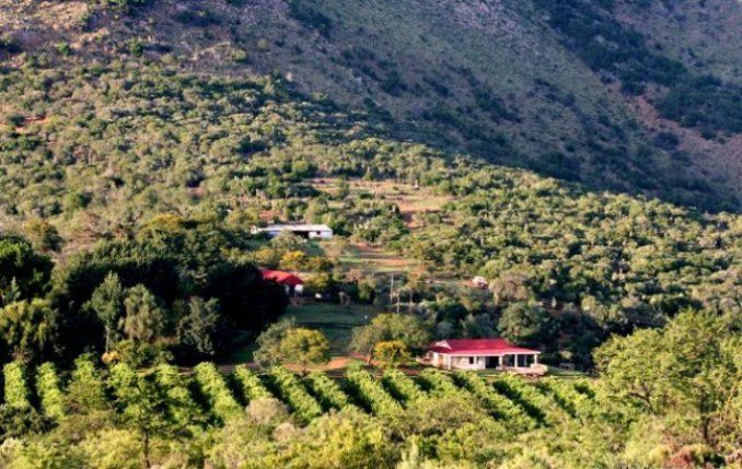 Waterkloof Guest Farm Riebeek East Eastern Cape South Africa Highland, Nature