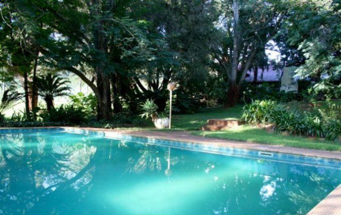 Waterkloof Guest Farm Riebeek East Eastern Cape South Africa Palm Tree, Plant, Nature, Wood, Garden, Swimming Pool