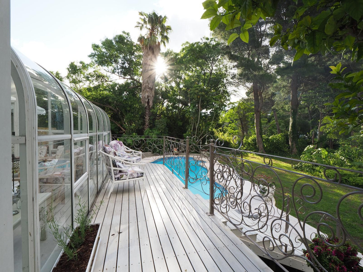 Waterland Hout Bay Cape Town Western Cape South Africa Palm Tree, Plant, Nature, Wood, Garden, Swimming Pool