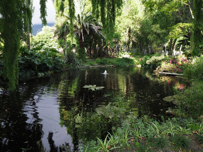 Waterland Hout Bay Cape Town Western Cape South Africa Plant, Nature, River, Waters, Garden