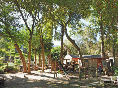 Waterland Hout Bay Cape Town Western Cape South Africa Tree, Plant, Nature, Wood