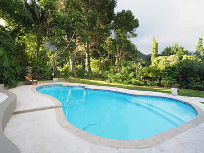 Waterland Hout Bay Cape Town Western Cape South Africa Complementary Colors, Palm Tree, Plant, Nature, Wood, Garden, Swimming Pool