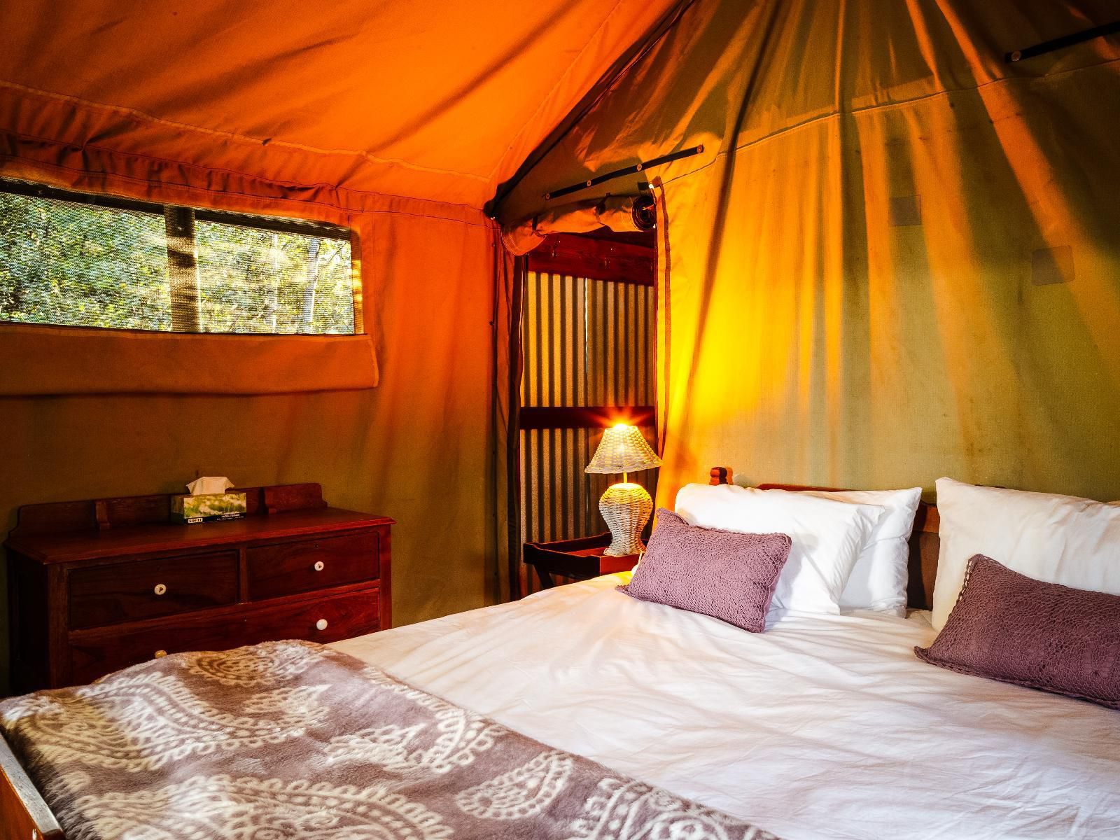 Waterlea On River Tented Cabins Middelburg Eastern Cape Eastern Cape South Africa Colorful, Tent, Architecture, Bedroom