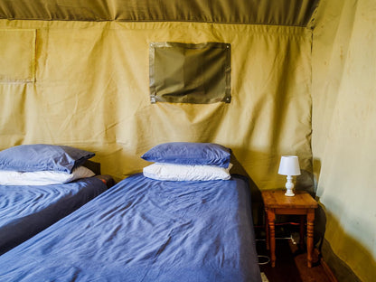 Waterlea On River Tented Cabins Middelburg Eastern Cape Eastern Cape South Africa Complementary Colors, Tent, Architecture, Bedroom