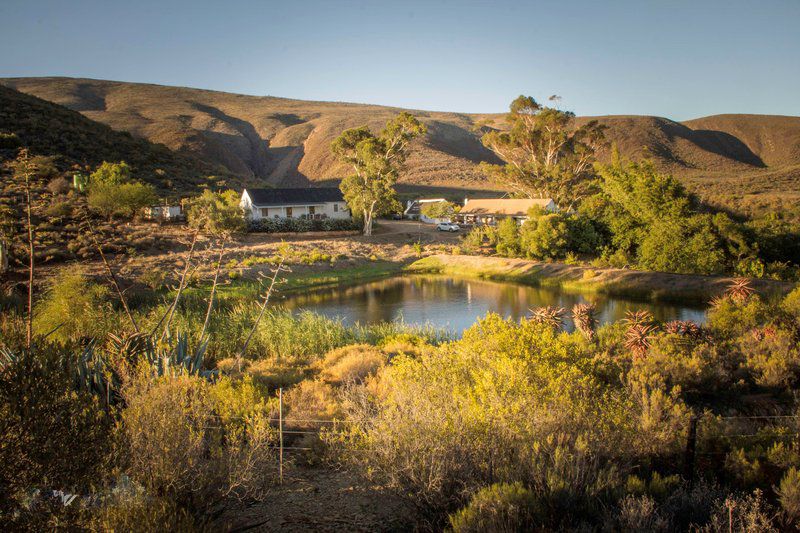 Watermill Farm Guest Cottages Van Wyksdorp Western Cape South Africa 