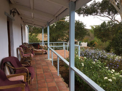 Watermill Farm Guest Cottages Van Wyksdorp Western Cape South Africa Plant, Nature