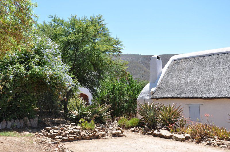 Watermill Farm Guest Cottages Van Wyksdorp Western Cape South Africa Complementary Colors