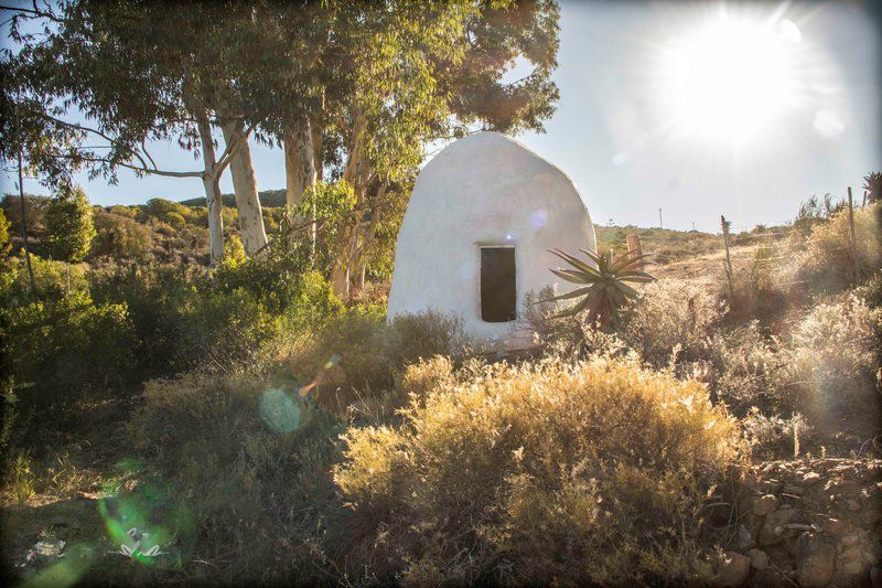 Watermill Farm Guest Cottages Van Wyksdorp Western Cape South Africa Cactus, Plant, Nature, Ruin, Architecture