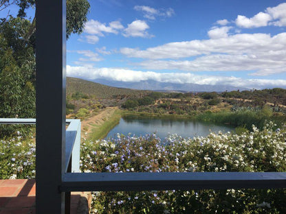 Watermill Farm Guest Cottages Van Wyksdorp Western Cape South Africa Cactus, Plant, Nature