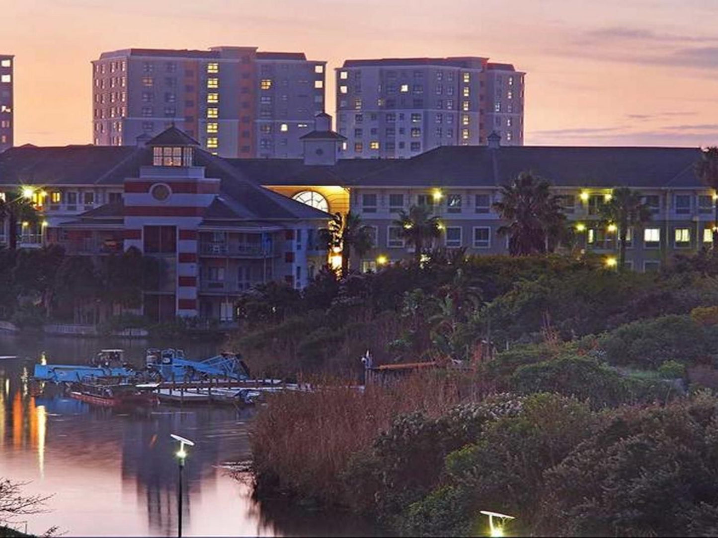 Waters Edge Aparthotel By Hostagents Century City Cape Town Western Cape South Africa Palm Tree, Plant, Nature, Wood