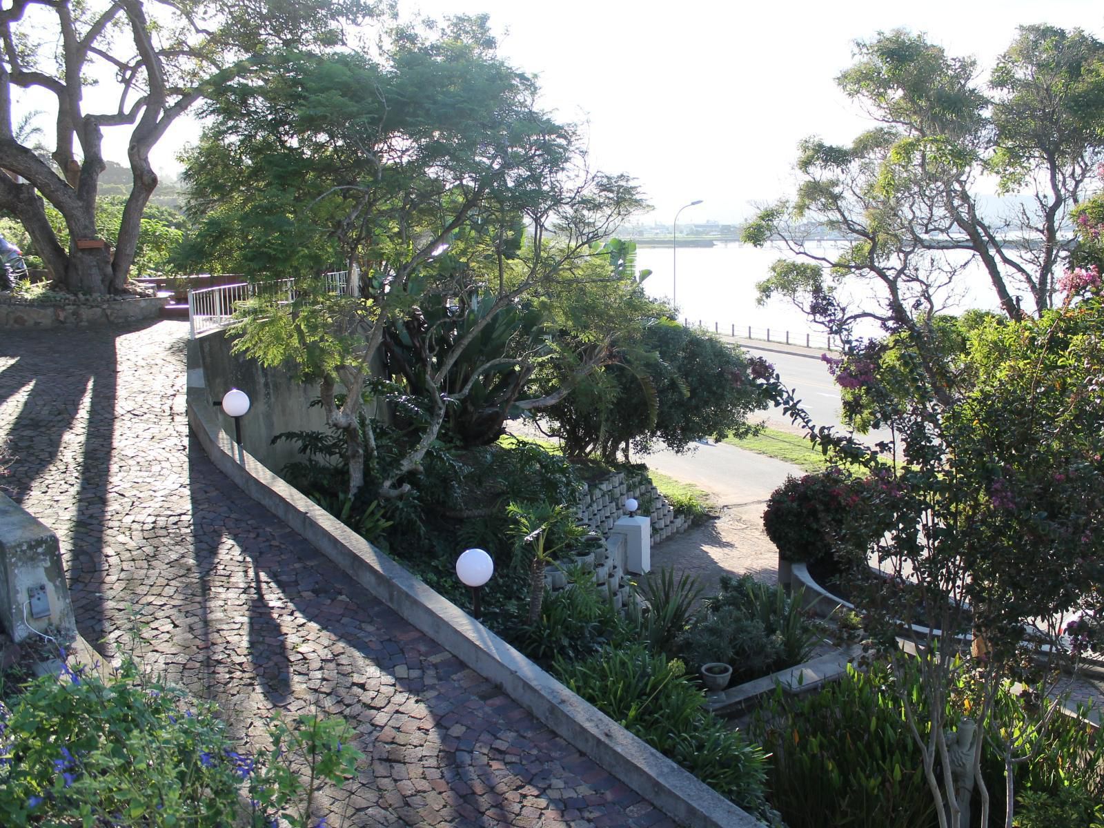 Phoenix Lodge And Waterside Accommodation Paradise Knysna Western Cape South Africa Palm Tree, Plant, Nature, Wood, Garden
