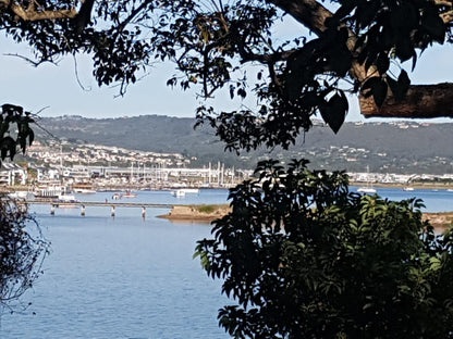 Phoenix Lodge And Waterside Accommodation Paradise Knysna Western Cape South Africa Boat, Vehicle, Beach, Nature, Sand, Harbor, Waters, City, Palm Tree, Plant, Wood, River, Architecture, Building, Framing