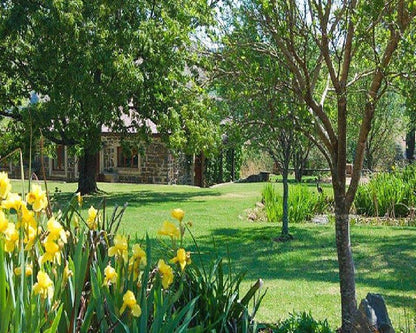 Watersmeet Cottage Dullstroom Mpumalanga South Africa Plant, Nature, Garden