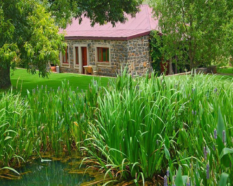 Watersmeet Cottage Dullstroom Mpumalanga South Africa Colorful, House, Building, Architecture, Garden, Nature, Plant