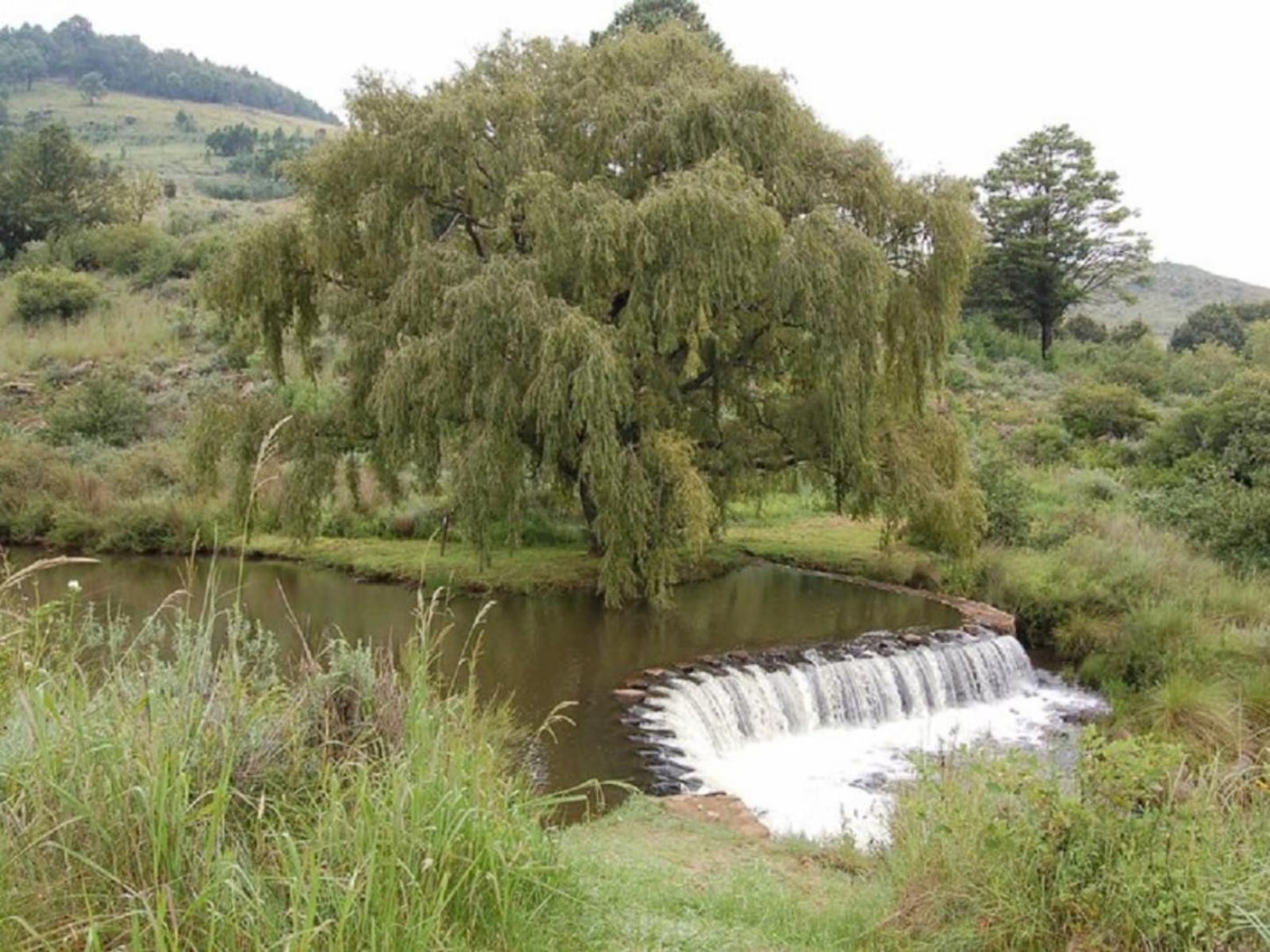 Watersmeet Country Cottages, River, Nature, Waters, Tree, Plant, Wood, Waterfall, Highland