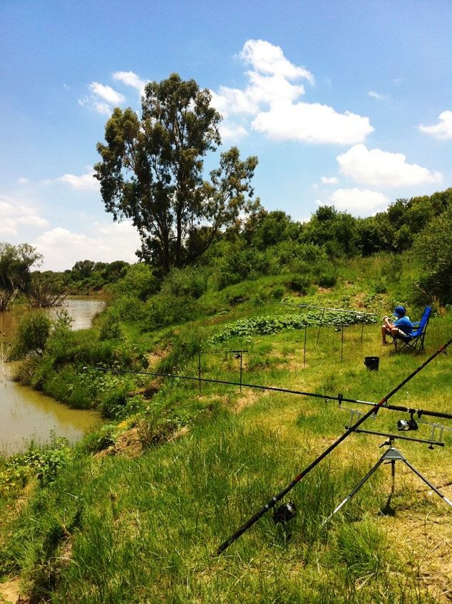 Waterval Chalets Kroonstad Free State South Africa Complementary Colors, River, Nature, Waters