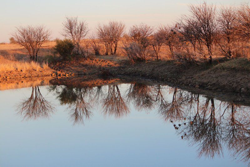 Waterval Chalets Kroonstad Free State South Africa Complementary Colors, Nature