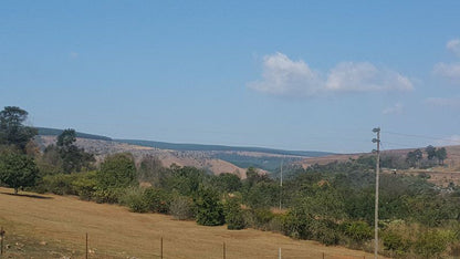 Waterval Guest House Sabie Mpumalanga South Africa Complementary Colors, Tree, Plant, Nature, Wood, Lowland