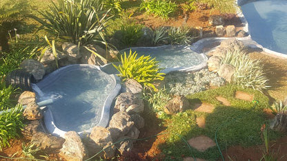 Waterval Guest House Sabie Mpumalanga South Africa Plant, Nature, Garden
