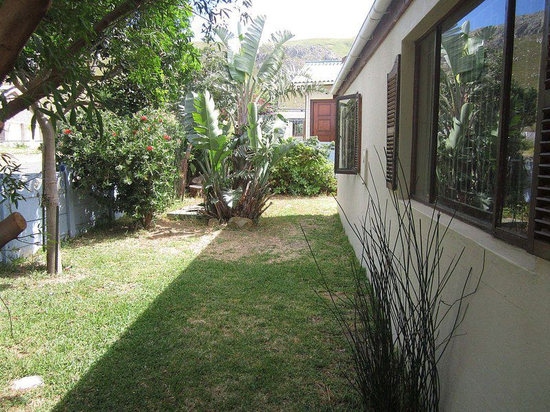 Wave Crest Kleinmond Western Cape South Africa House, Building, Architecture, Palm Tree, Plant, Nature, Wood, Garden