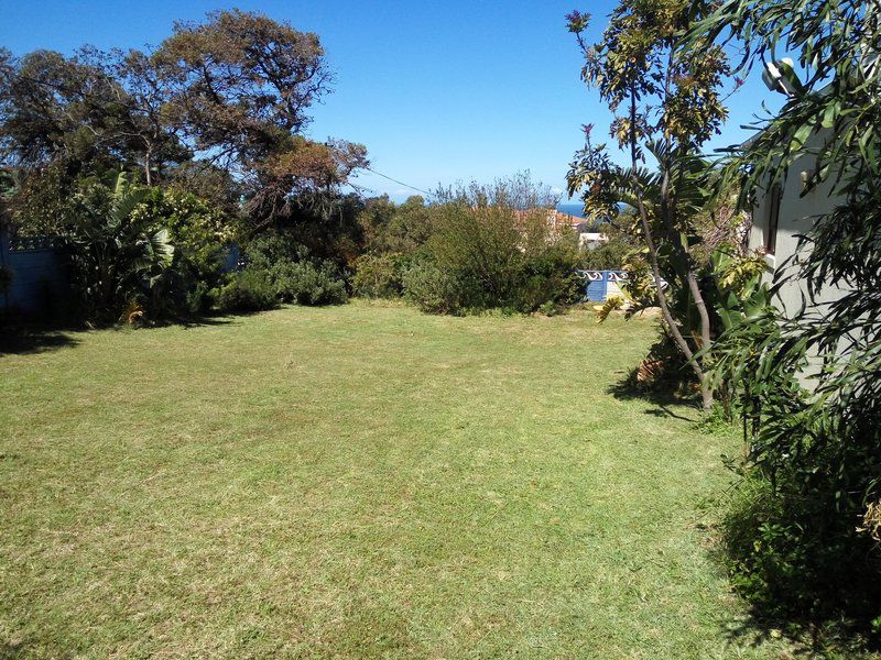 Wave Crest Kleinmond Western Cape South Africa Plant, Nature, Garden