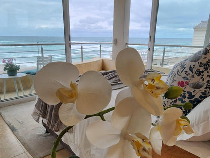 Waves Of Grace Seafront Villa Bandb Herolds Bay Western Cape South Africa Complementary Colors, Beach, Nature, Sand, Flower, Plant