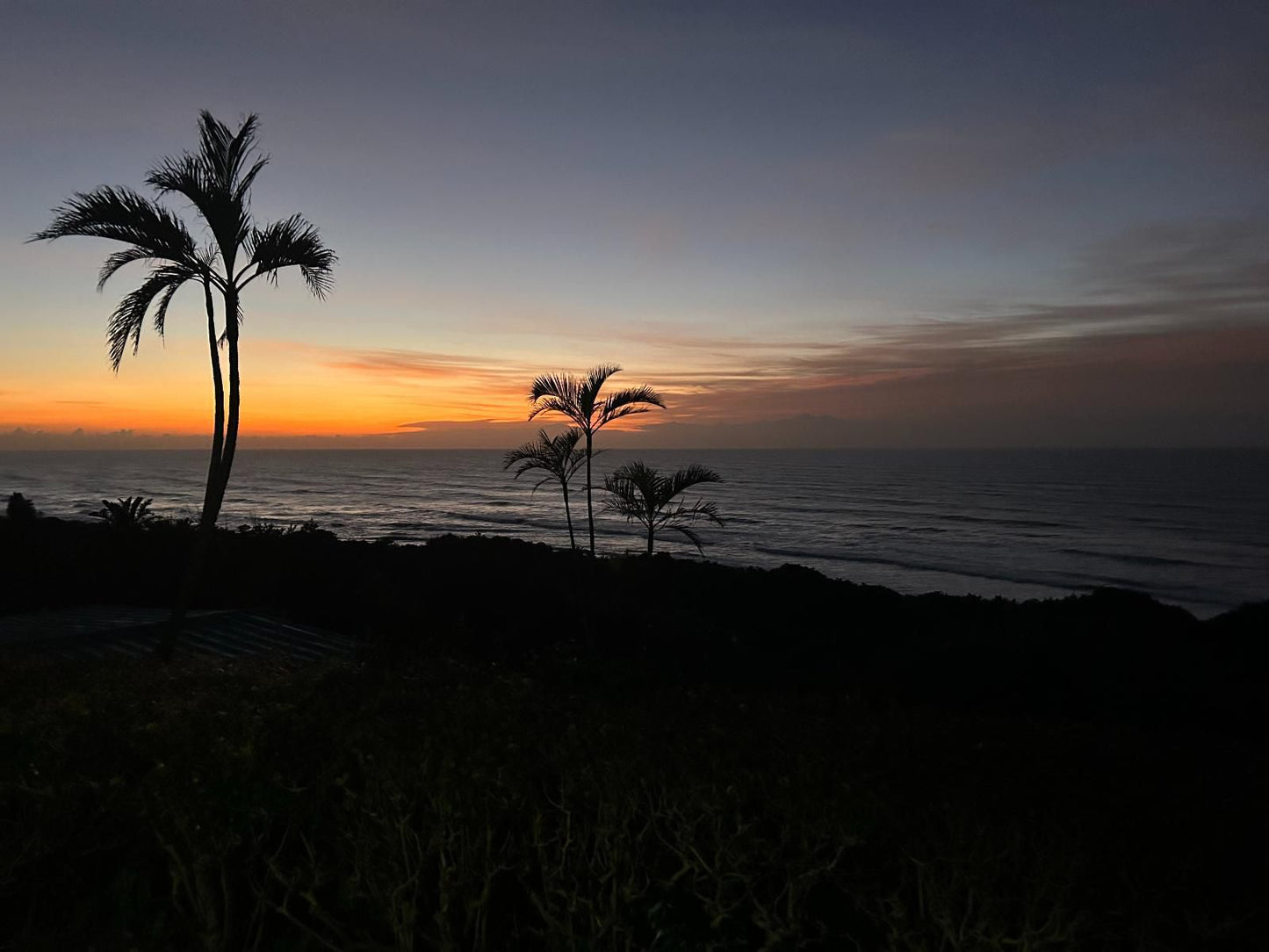 Waves Of Mercy Trafalgar Kwazulu Natal South Africa Beach, Nature, Sand, Palm Tree, Plant, Wood, Sunset, Sky