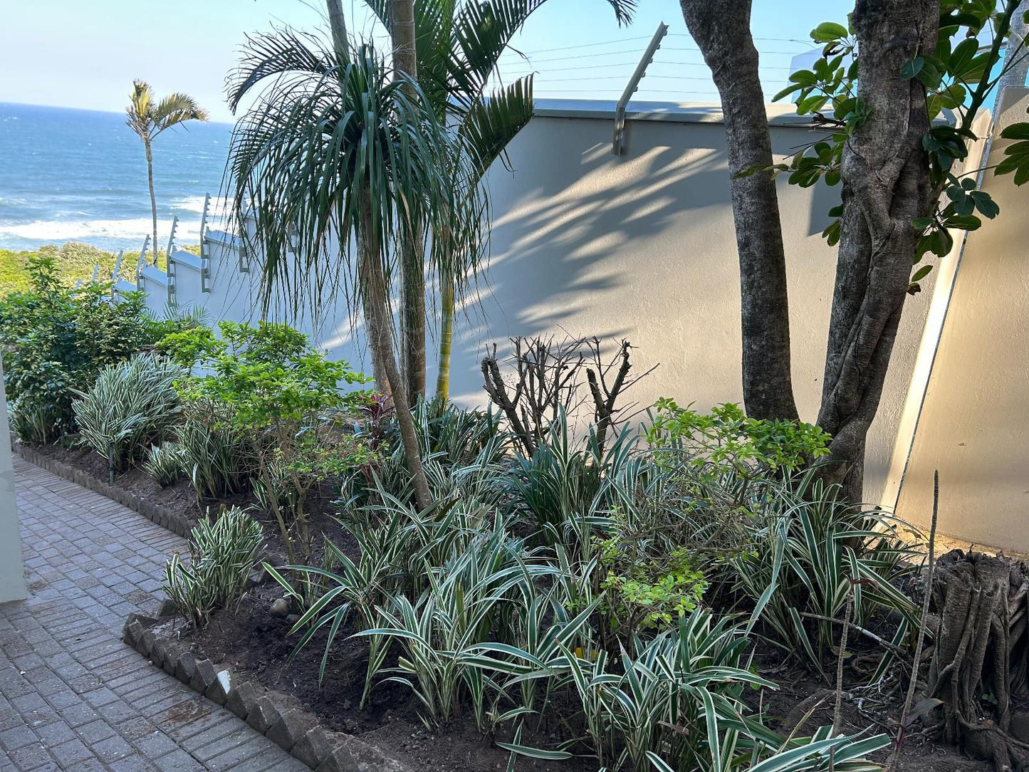 Waves Of Mercy Trafalgar Kwazulu Natal South Africa Beach, Nature, Sand, Palm Tree, Plant, Wood, Garden