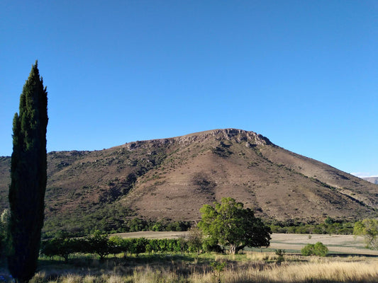 Waylands Country House Katberg Eastern Cape South Africa Nature