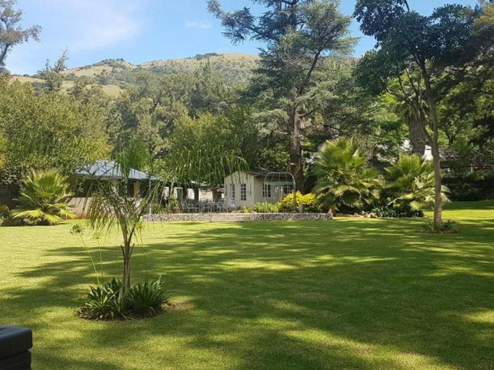 Wayside Lodge Waterval Onder Mpumalanga South Africa Palm Tree, Plant, Nature, Wood