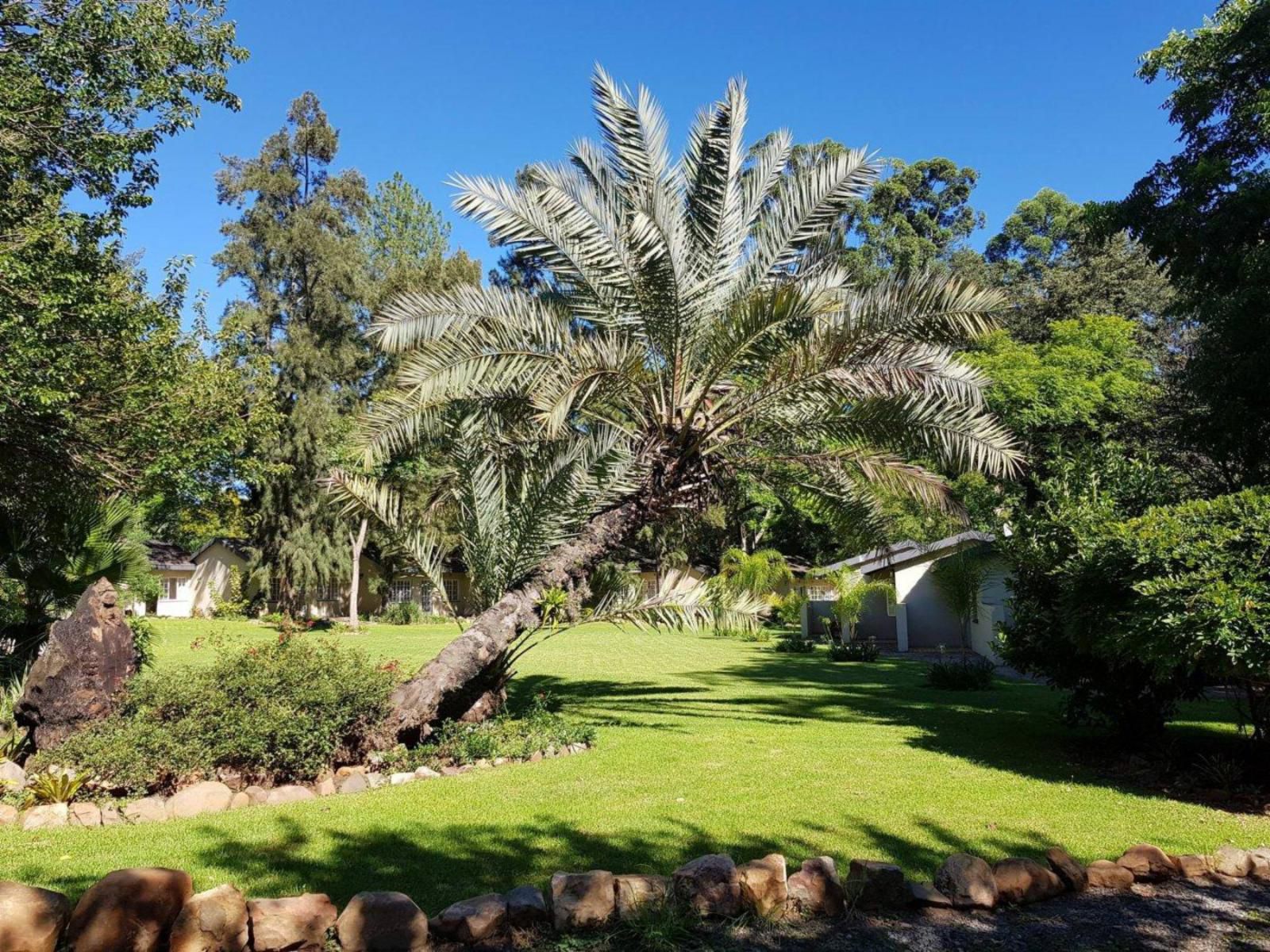 Wayside Lodge Waterval Onder Mpumalanga South Africa Complementary Colors, Palm Tree, Plant, Nature, Wood, Garden