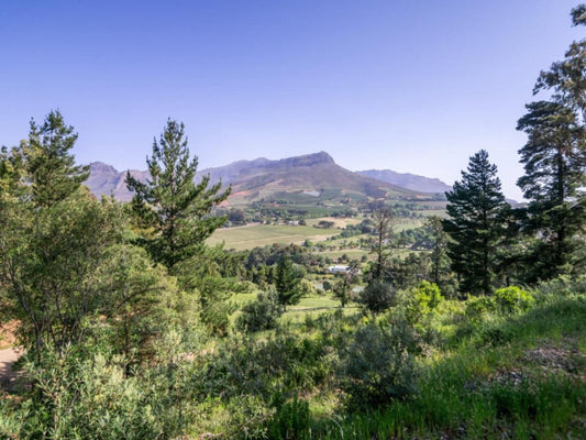 Wechmarshof Die Boord Stellenbosch Western Cape South Africa Complementary Colors, Mountain, Nature, Highland