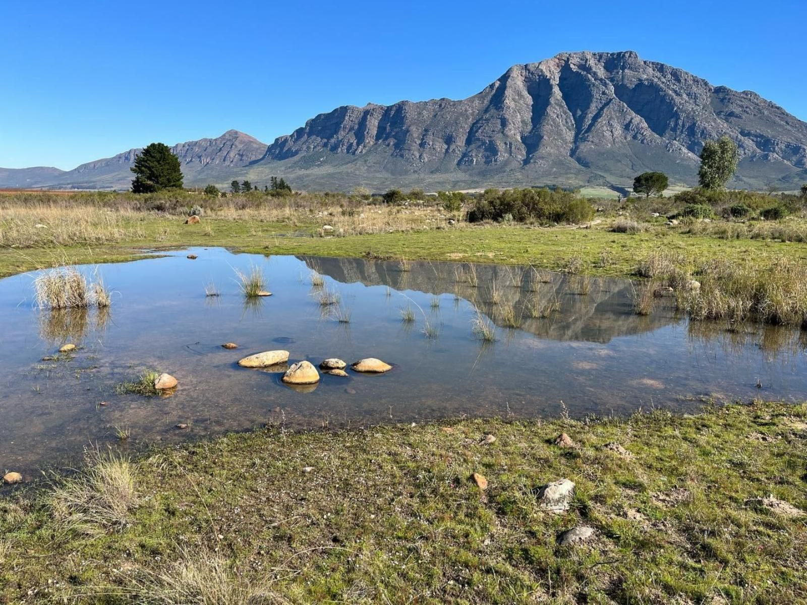 Welbedacht Game And Nature Reserve Tulbagh Western Cape South Africa Complementary Colors, Mountain, Nature