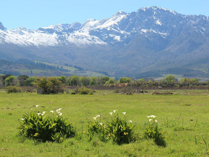 Welbedacht Game And Nature Reserve Tulbagh Western Cape South Africa Complementary Colors, Mountain, Nature, Highland