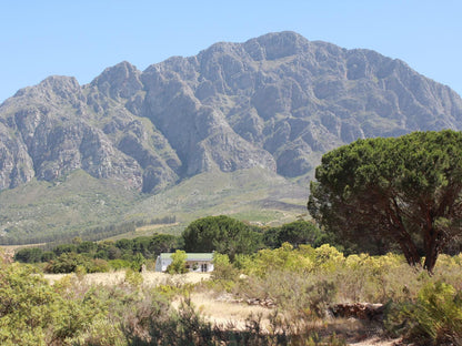 Welbedacht Game And Nature Reserve Tulbagh Western Cape South Africa Complementary Colors, Nature