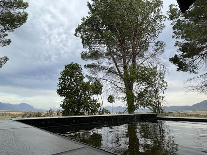 Welbedacht Game And Nature Reserve Tulbagh Western Cape South Africa Lake, Nature, Waters, Mountain, River, Tree, Plant, Wood, Rain