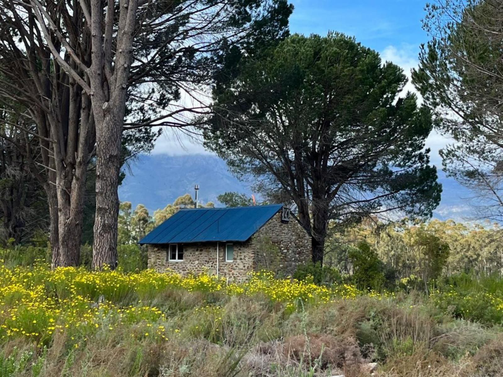 Welbedacht Game And Nature Reserve Tulbagh Western Cape South Africa Barn, Building, Architecture, Agriculture, Wood