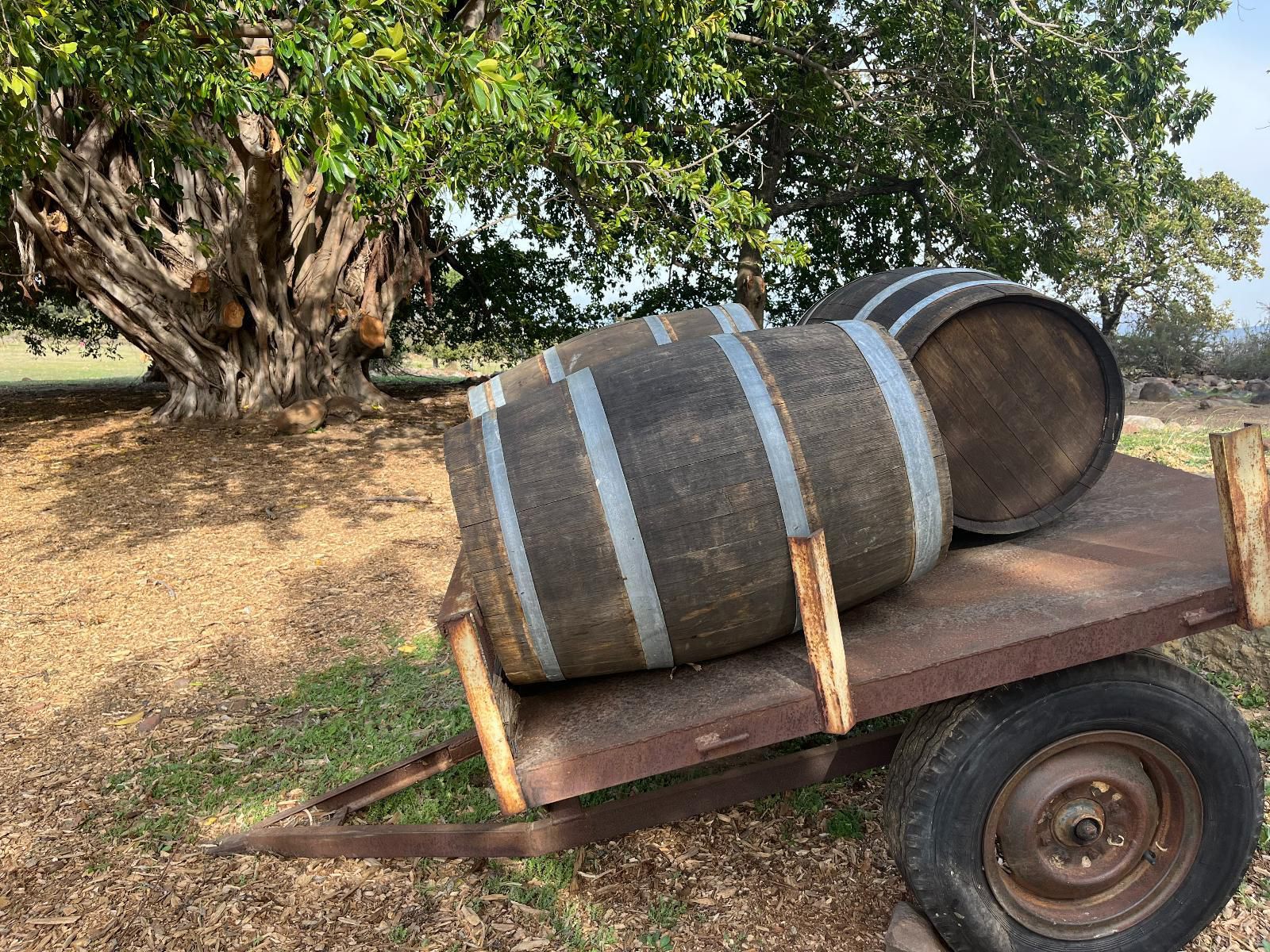 Welbedacht Nature Reserve, Barrel, Drinking Accessoire, Drink, Food, Vehicle