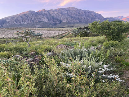 Welbedacht Nature Reserve, Mountain, Nature