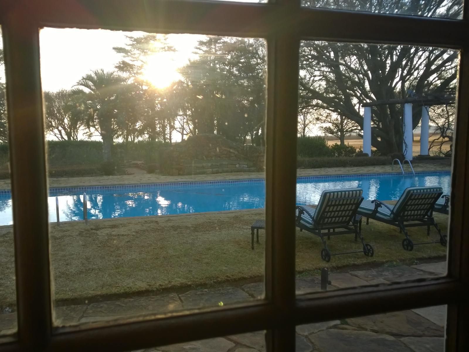 Welgelegen Manor Balfour Mpumalanga South Africa Palm Tree, Plant, Nature, Wood, Framing, Sunset, Sky, Swimming Pool