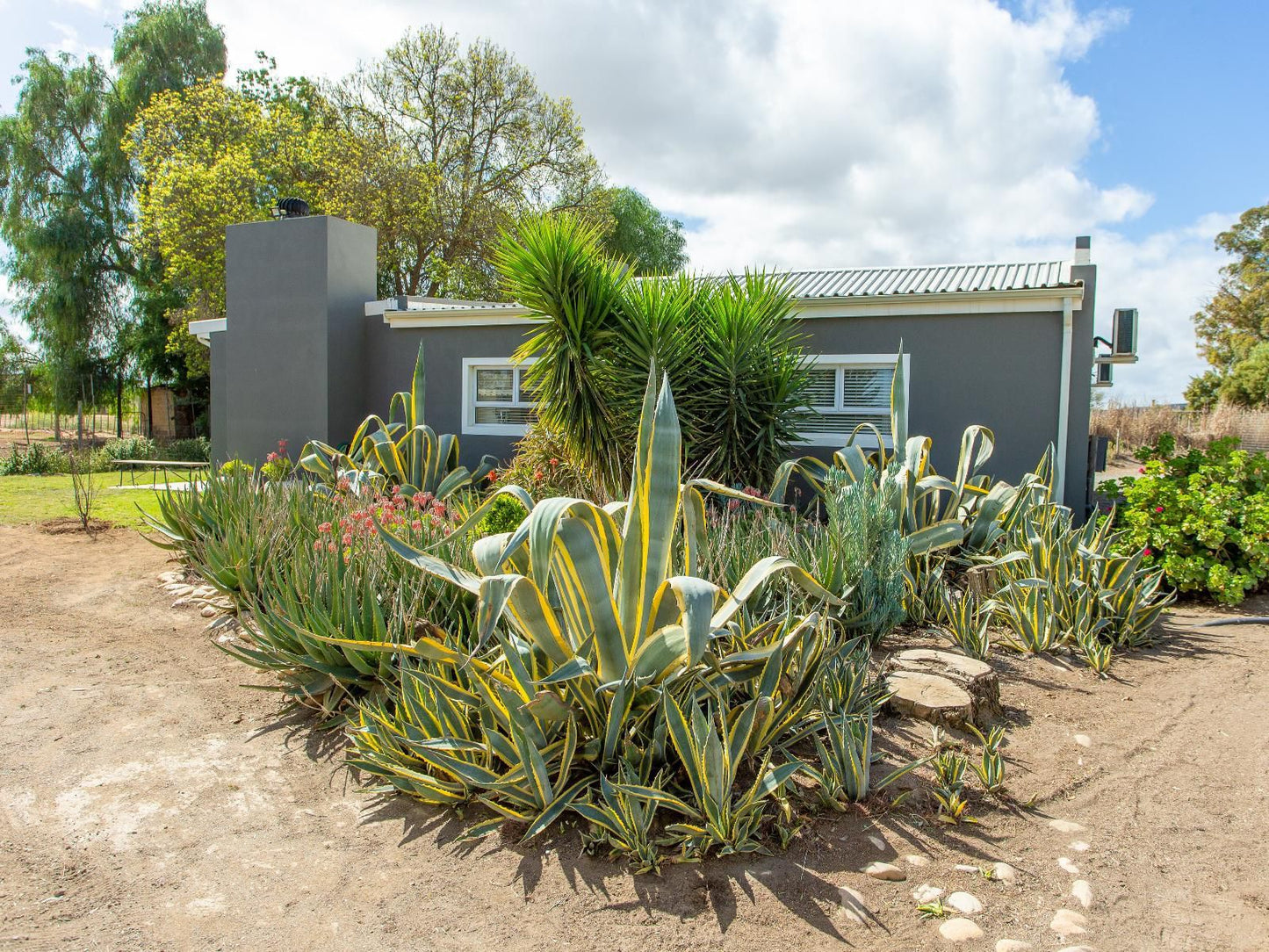 Welgeluk Cottage Oudtshoorn Western Cape South Africa House, Building, Architecture, Palm Tree, Plant, Nature, Wood, Garden