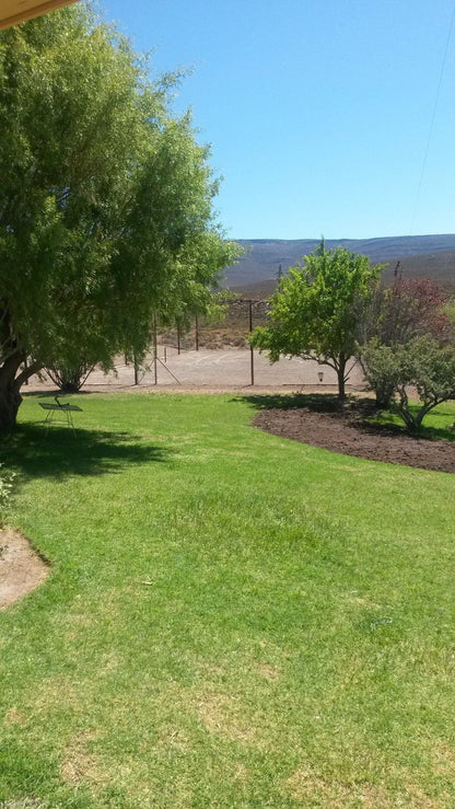 Kareeboom Farm Accommodation Sutherland Northern Cape South Africa Complementary Colors, Plant, Nature, Desert, Sand