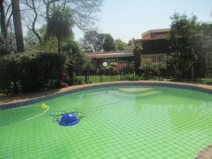 Welpie Guesthouse Rant En Dal Krugersdorp Gauteng South Africa Palm Tree, Plant, Nature, Wood, Garden, Swimming Pool