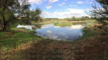 Weltevreden Game Lodge Glen Bloemfontein Free State South Africa River, Nature, Waters, Tree, Plant, Wood, Lowland