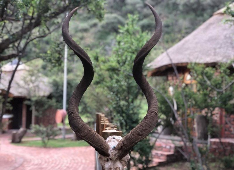 Weltevreden Game Lodge Glen Bloemfontein Free State South Africa Unsaturated