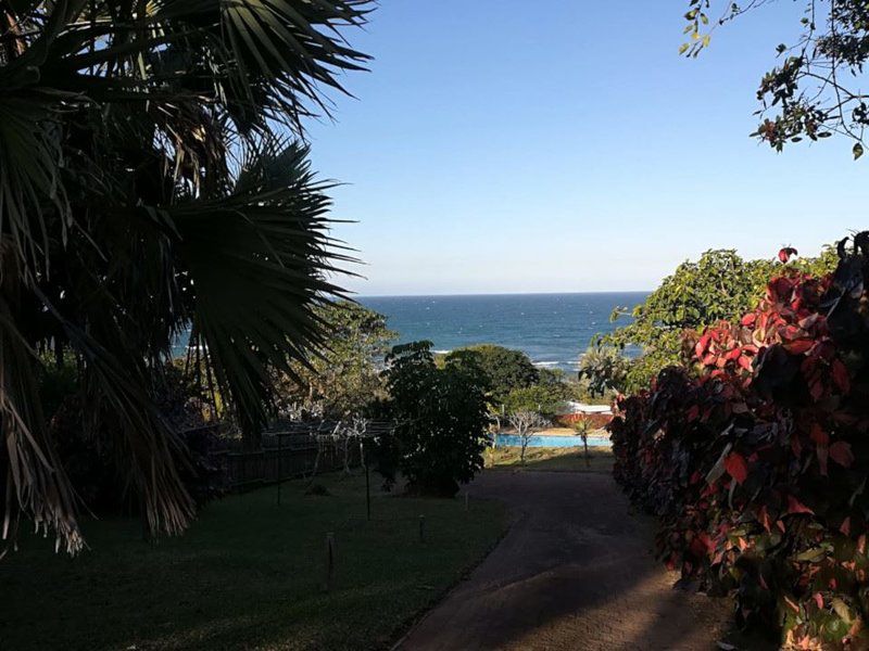 Wenonah 12 Trafalgar Kwazulu Natal South Africa Beach, Nature, Sand, Palm Tree, Plant, Wood