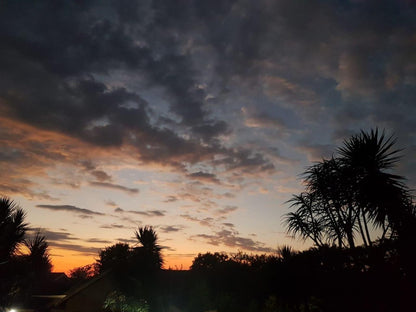 Wensleydale Guest Lodge Scottsville Pietermaritzburg Kwazulu Natal South Africa Palm Tree, Plant, Nature, Wood, Sky, Clouds, Sunset